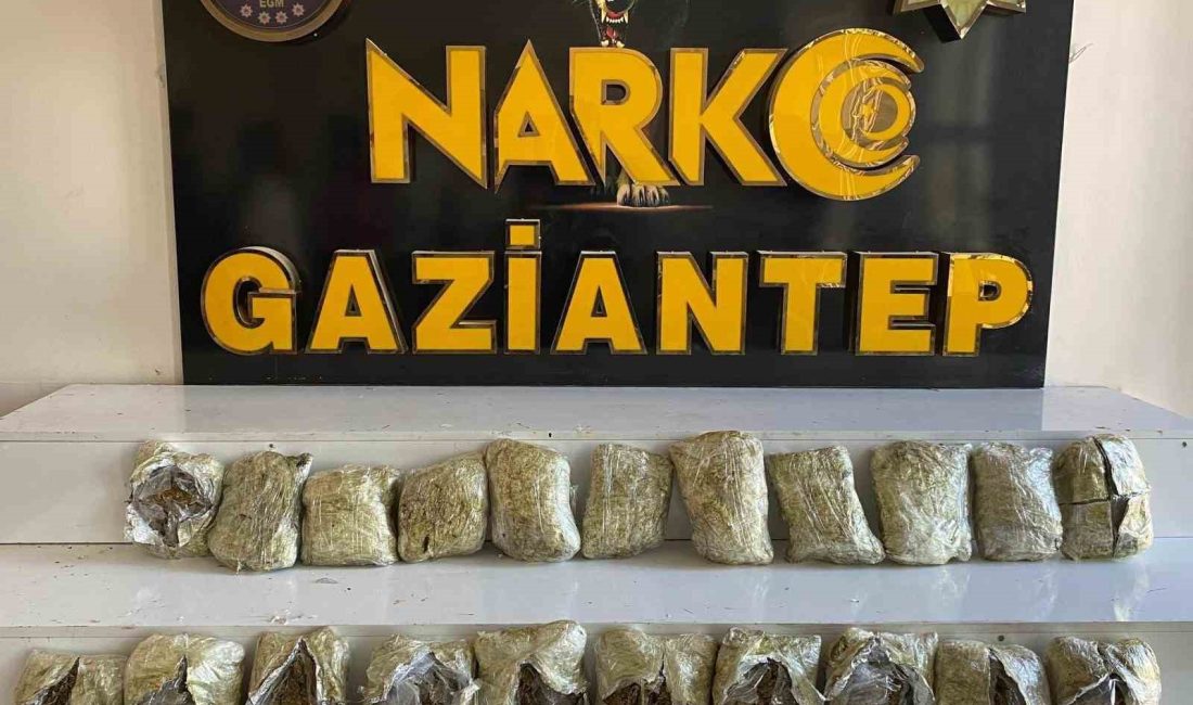 GAZİANTEP'TE BİR HAFTADA YAPILAN NARKOTİK OPERASYONLARINDA 86 KİLO SKUNK İLE