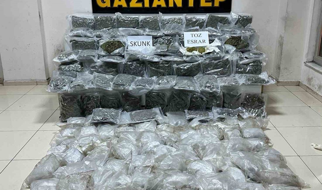 GAZİANTEP’TE 86 KİLO 650 GRAM SKUNK ELE GEÇİRİLDİ