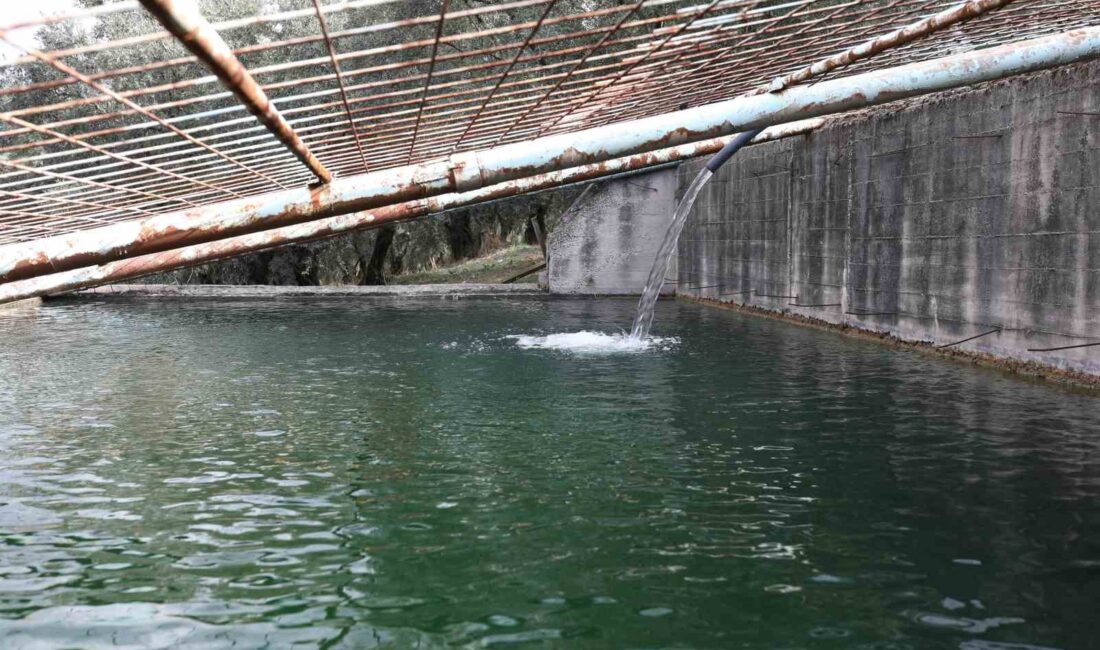 BURSA'NIN GEMLİK İLÇESİNDE, BOŞA AKAN İKİ KAYNAK SUYU BİR HAVUZDA