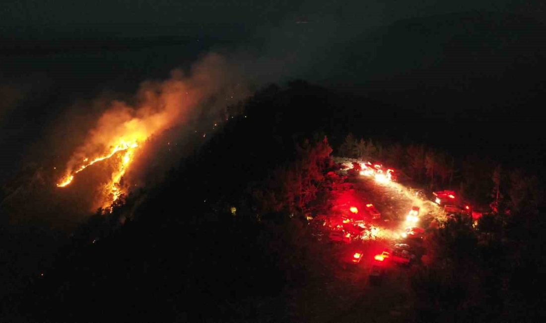 GÖKOVA KÖRFEZİ'NİN HEMEN KIYISINDA CUMA SABAHI SAAT 03.30’DA BAŞLAYAN ORMAN