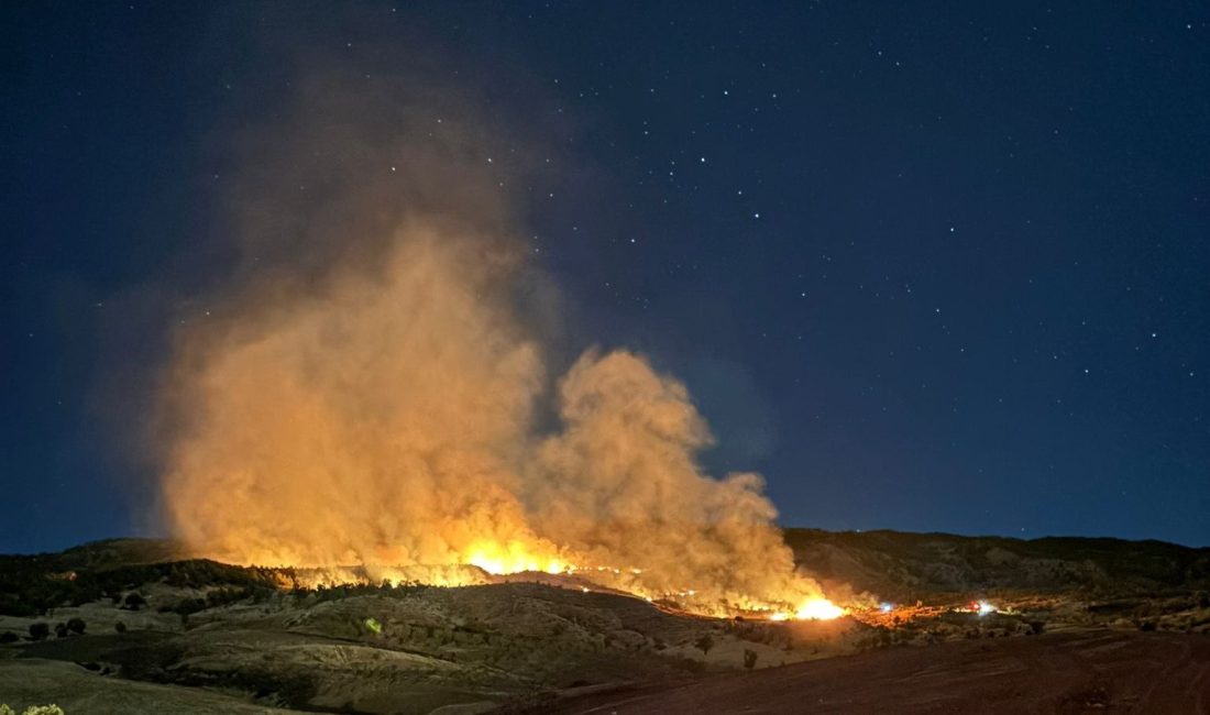ADIYAMAN'IN GÖLBAŞI İLÇESİNDE GECE SAATLERİNDE ÇIKAN ORMAN YANGININDA YAKLAŞIK 400