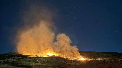 ADIYAMAN'IN GÖLBAŞI İLÇESİNDE GECE SAATLERİNDE ÇIKAN ORMAN YANGININDA YAKLAŞIK 400