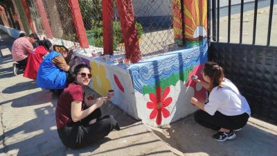 AYDIN (İHA) - AYDIN’IN EFELER İLÇESİNDEKİ BİR İLKOKULA GİDEN GÖNÜLLÜ