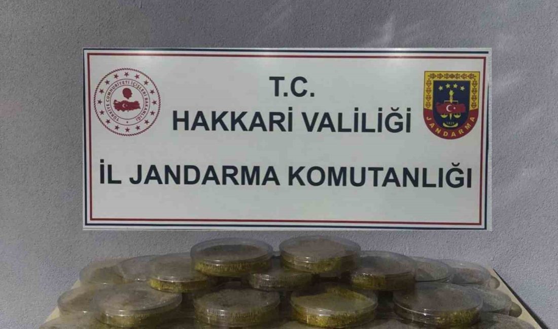 HAKKARİ İL JANDARMA KOMUTANLIĞI EKİPLERİ TARAFINDAN YÜRÜTÜLEN ÇALIŞMALAR SONUCUNDA ÇOK