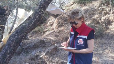 TÜRKİYE’DE ZEYTİN AĞACI VARLIĞI EN YÜKSEK İLLERDEN OLAN AYDIN’DA ZEYTİN