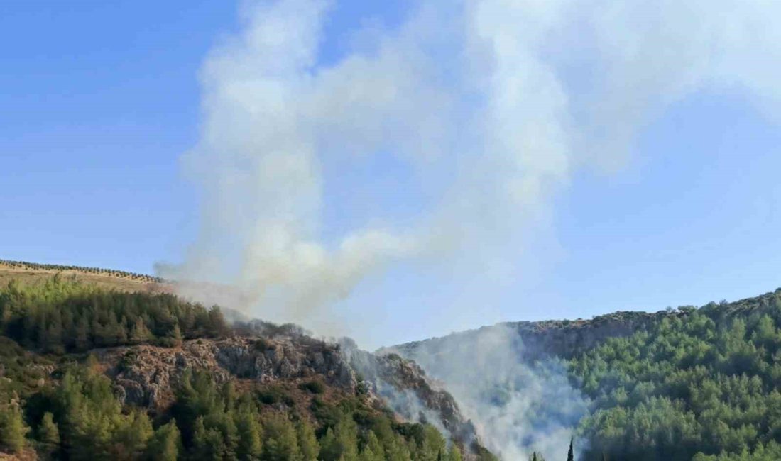 HATAY’IN ANTAKYA İLÇESİNDE YAŞANAN ORMAN YANGINI HAVADAN VE KARADAN MÜDAHALEYLE