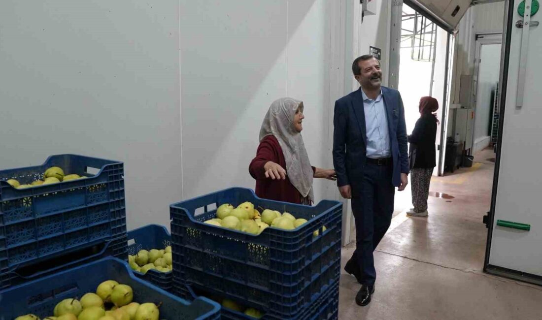 GÜRSU ARMUDUNU ÜRETMEK İÇİN GİRİŞİMCİ OLMAYA KARAR VEREN VE BİR
