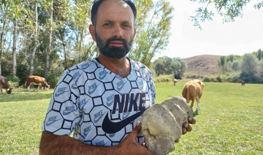 YOZGAT'TA HAYVAN OTLATIRKEN 4.5 KİLO AĞIRLIĞINDA FOSİL BULDU
