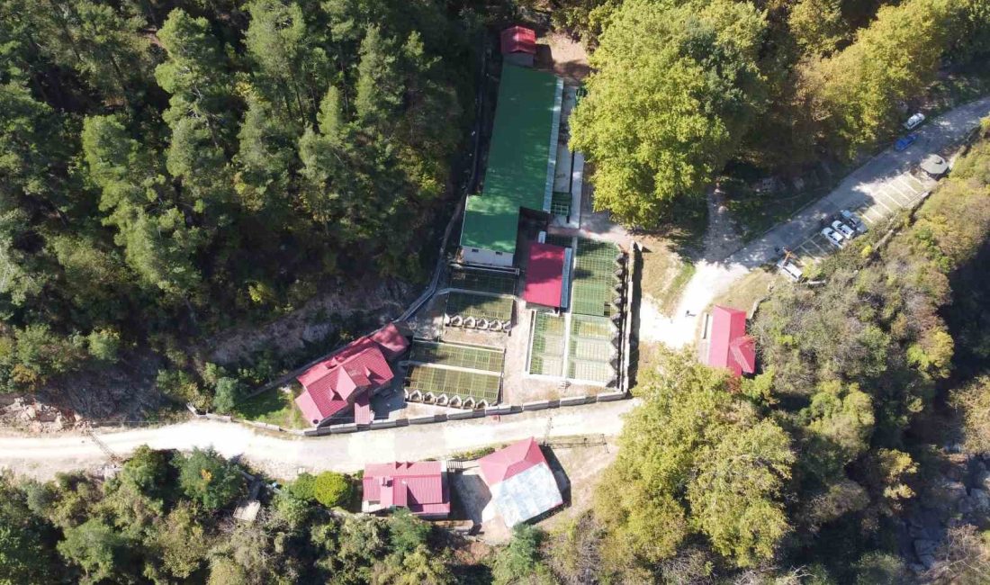 TÜRKİYE'NİN ÖNEMLİ ÜRETİM MERKEZLERİNDEN MERSİN'DE TOROSLARIN ZİRVESİNE YAKIN BİR NOKTADA
