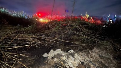 ANTALYA’NIN MANAVGAT İLÇESİNDE SAZLIK ALANDA ÇIKAN VE ŞİDDETLİ RÜZGARIN ETKİSİYLE