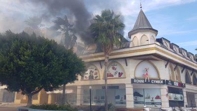 ANTALYA'NIN KEMER İLÇESİNDE BİR İŞYERİNDEN PALMİYE AĞAÇLARINA SIÇRAYAN YANGIN KORKUTTU.