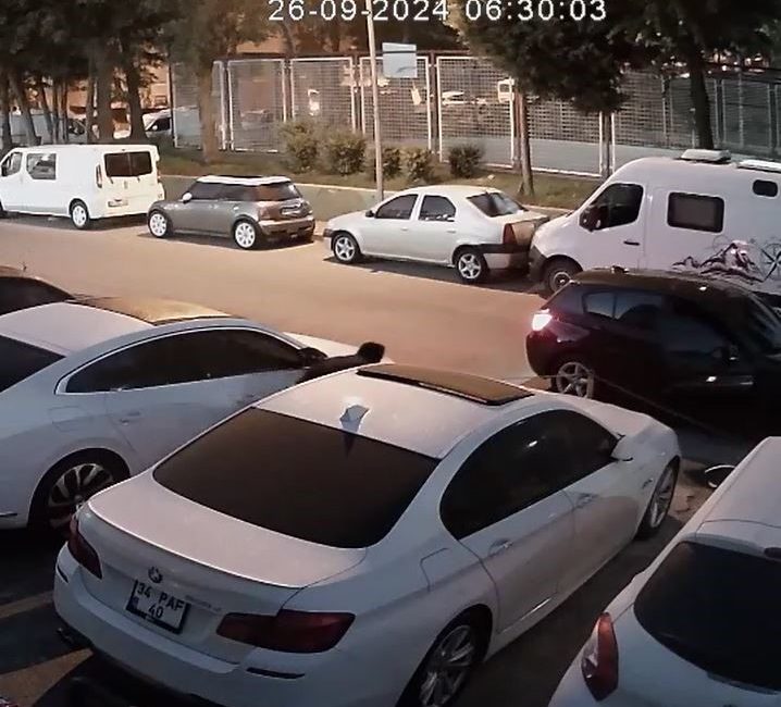 İSTANBUL EMNİYET MÜDÜRLÜĞÜ HIRSIZLIK VE YANKESİCİLİK BÜRO AMİRLİĞİ EKİPLERİNCE 33