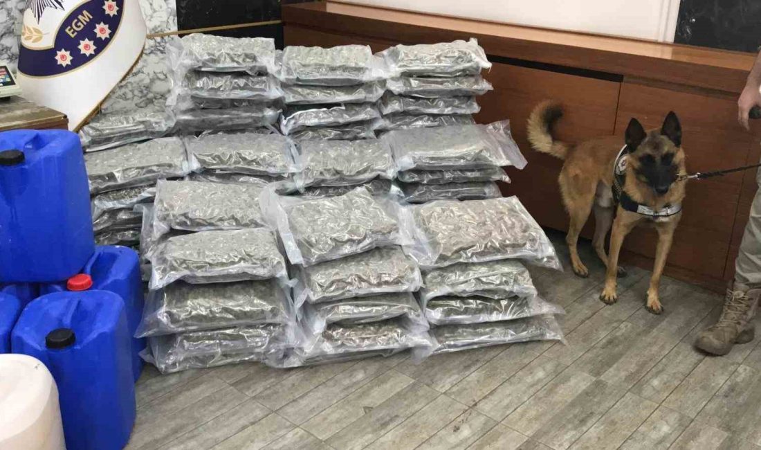 İSTANBUL’DA DÜZENLENEN UYUŞTURUCU OPERASYONLARINDA 8 ŞÜPHELİ YAKALANDI, 500 KİLO SIVI