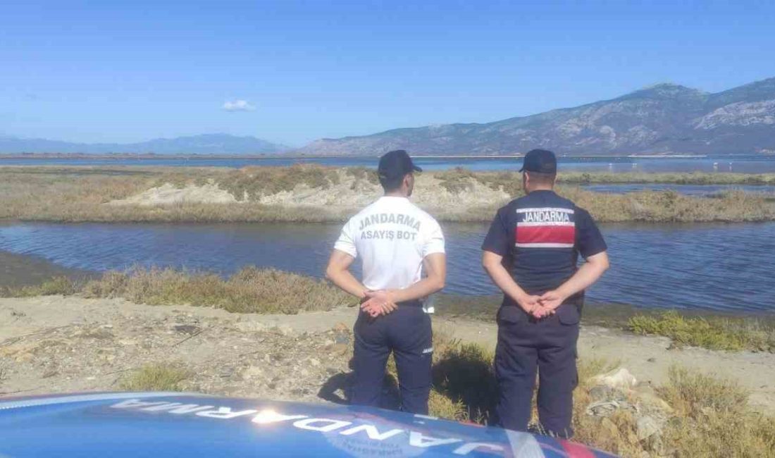 AYDIN (İHA) – AYDIN’IN SÖKE İLÇESİNDE JANDARMA EKİPLERİ, DALYAN GÖLÜ