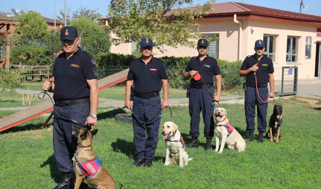 AYDIN İL JANDARMA KOMUTANLIĞINDA GÖREVLİ ÖZEL EĞİTİMLİ KÖPEKLER, BAŞARILI OPERASYONLARI