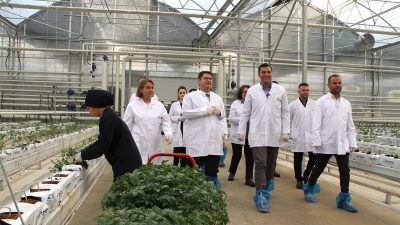 MANİSA BÜYÜKŞEHİR BELEDİYE BAŞKANI MİMAR FERDİ ZEYREK, BİR DİZİ TEMASLARDA