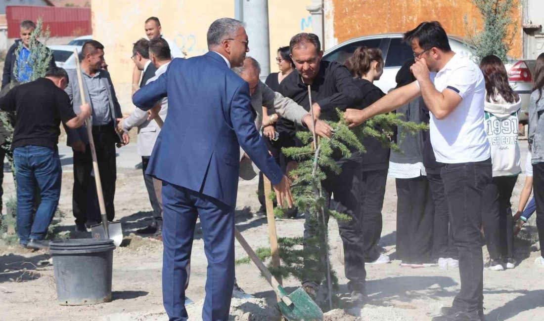 KONYA'NIN KARAPINAR İLÇESİNDE TAPU MÜDÜRLÜĞÜ HATIRA ORMANI AĞAÇ DİKİMİ GERÇEKLEŞTİRİLDİ.