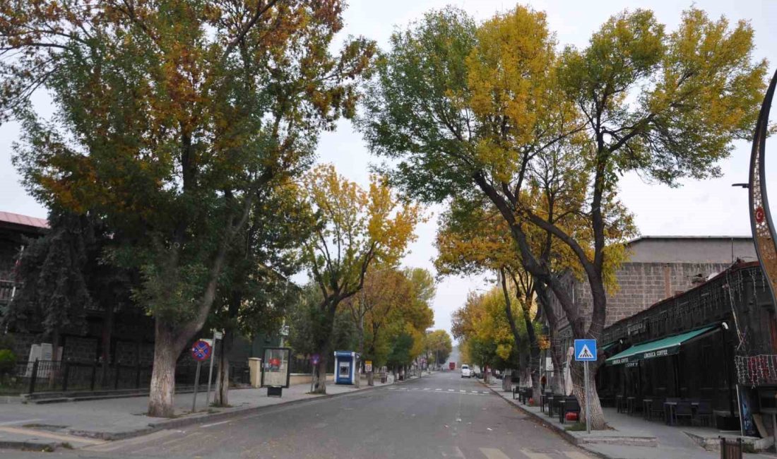 KARS'TA SONBAHAR GÜZELLİĞİ: AĞAÇLAR YAPRAK DÖKÜYOR(KARS-İHA)