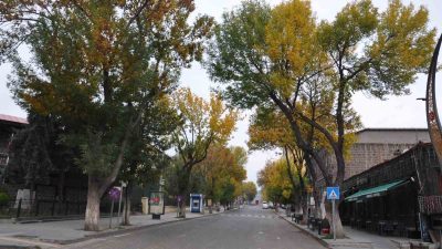 KARS'TA SONBAHAR GÜZELLİĞİ: AĞAÇLAR YAPRAK DÖKÜYOR(KARS-İHA)