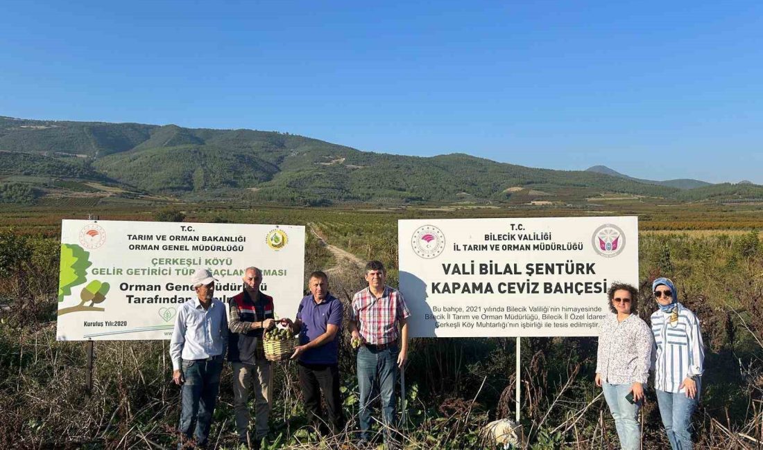 OSMANELİ İLÇESİNDEKİ 130 HANELİ ÇERKEŞLİ KÖYÜNDE, KAVAKLIK ALAN BOZULARAK DİKİLEN