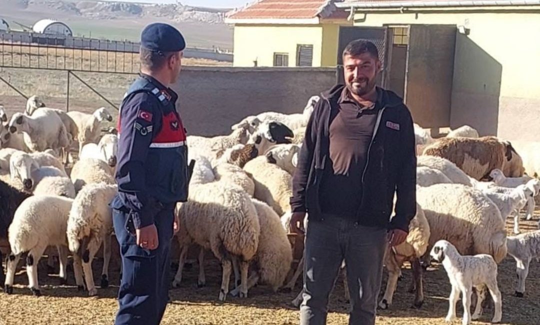KONYA’NIN KULU İLÇESİNDE KAYBOLAN 45 KÜÇÜKBAŞ HAYVAN JANDARMANIN DRON DESTEĞİ
