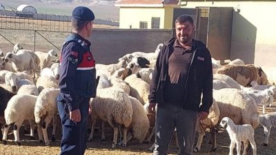 KONYA’NIN KULU İLÇESİNDE KAYBOLAN 45 KÜÇÜKBAŞ HAYVAN JANDARMANIN DRON DESTEĞİ