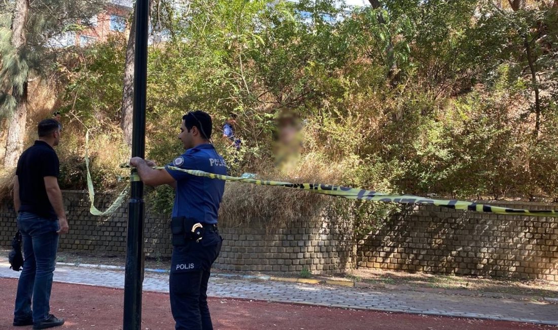AYDIN'IN EFELER İLÇESİNDE  KAYIP OLARAK ARANAN ŞAHIS MESİRE ALANINDA