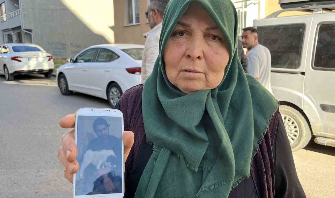 SİVAS'TA PSİKOLOJİK SORUNLARI OLAN EMEKLİ BİR ÖĞRETMEN TARAFINDAN KEDİ BESLEME