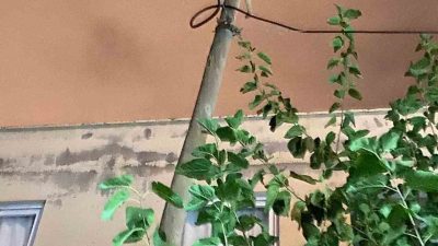 HATAY'DA ÇIKTIĞI TELEFON DİREĞİNDE MAHSUR KALAN KEDİYİ İTFAİYE KURTARDI.