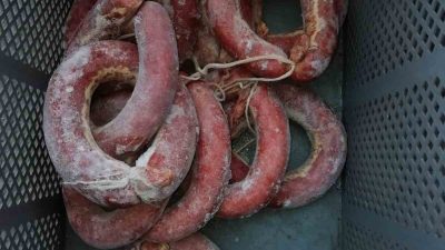 MANİSA’NIN SALİHLİ İLÇESİNDE ZABITA VE İLÇE TARIM VE ORMAN MÜDÜRLÜĞÜ’NÜN