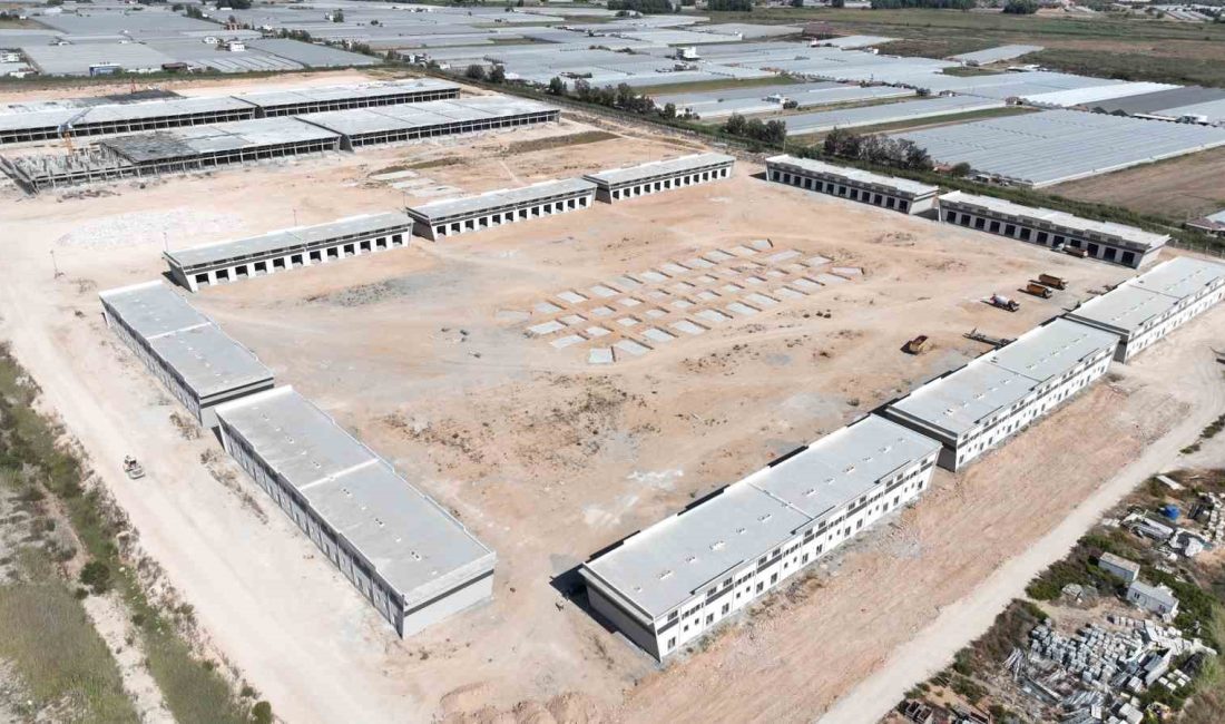ANTALYA BÜYÜKŞEHİR BELEDİYESİ KAŞ KINIK TOPTANCI HAL KOMPLEKSİ PROJESİ DEVAM