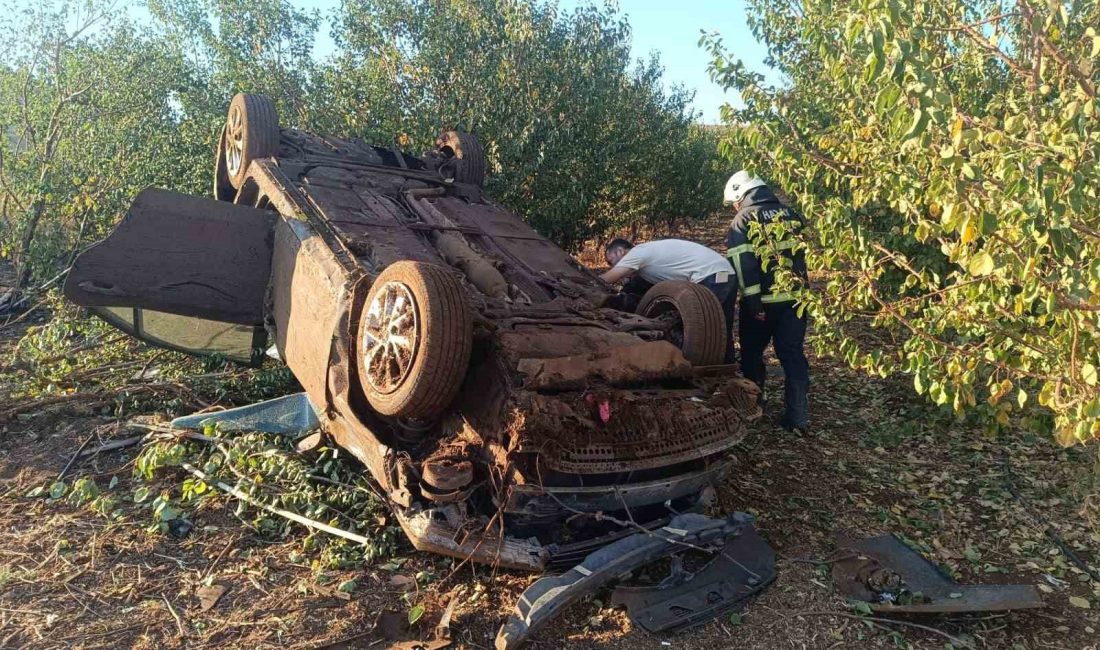 HATAY’DA KONTROLDEN ÇIKARAK MEYVE BAHÇESİNE UÇAN OTOMOBİLİN SÜRÜCÜSÜ YARALANDI.