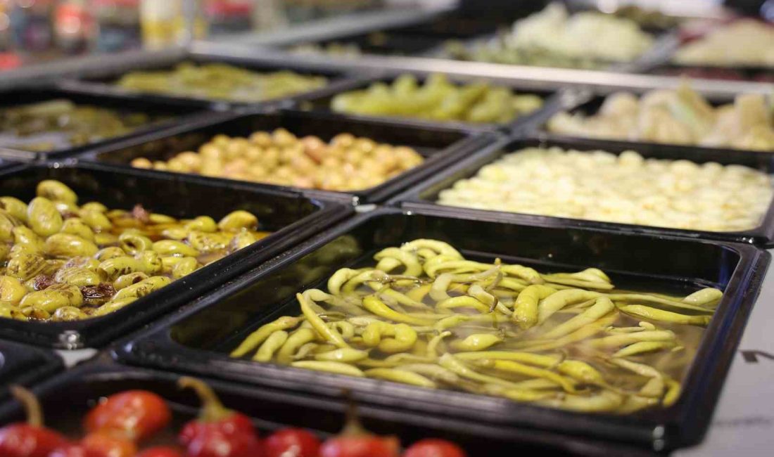 KONYA’DA KIŞ AYLARINDA ÖZELLİKLE SON ZAMANLARDA ARTAN GRİP SALGINLARINDAN SONRA