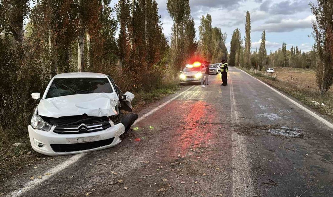 SİVAS’TA KONTROLDEN ÇIKAN OTOMOBİLİN AĞACA ÇARPMASI SONUCU MEYDANA GELEN TRAFİK