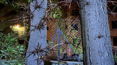 KONYA'NIN KULU İLÇESİNDE PARKTA GEZERKEN GERİ GERİ YÜÜRÜYEN GENCİN SIRTINA