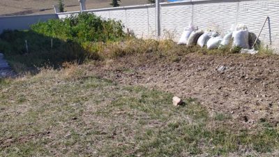 KONYA'NIN KULU İLÇESİNDE EVLERİNİN BAHÇESİNDEN TOPLADIKLARI MANTARI YİYEN YAŞLI ÇİFT