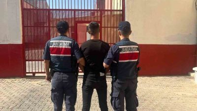 AYDIN (İHA) – AYDIN’IN İNCİRLİOVA İLÇESİNDE KÜMESLERDEN TOPLAM 31 ADET