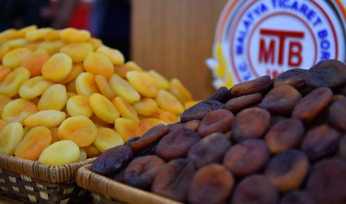 2024 YILI EYLÜL AYINDA MALATYA'DAN 9 BİN TON KURU KAYISI