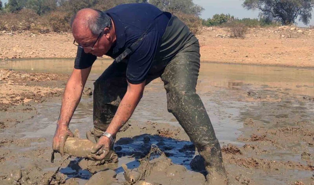 KURUYAN GÖLETTE BALIK KURTARMA OPERASYONU