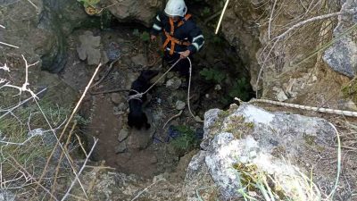 HATAY’DA KUYUYA DÜŞEN KÖPEK, İTFAİYE EKİPLERİ TARAFINDAN KURTARILDI.