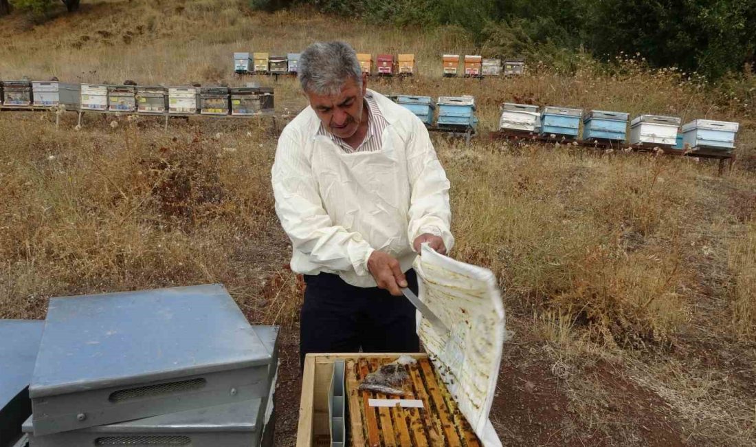 MALATYA'DA BAL HASADI TAMAMLANDI