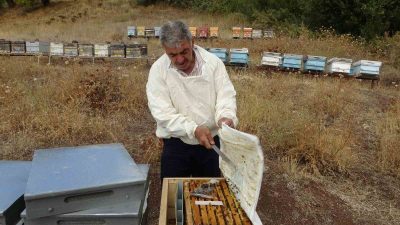 MALATYA'DA BAL HASADI TAMAMLANDI