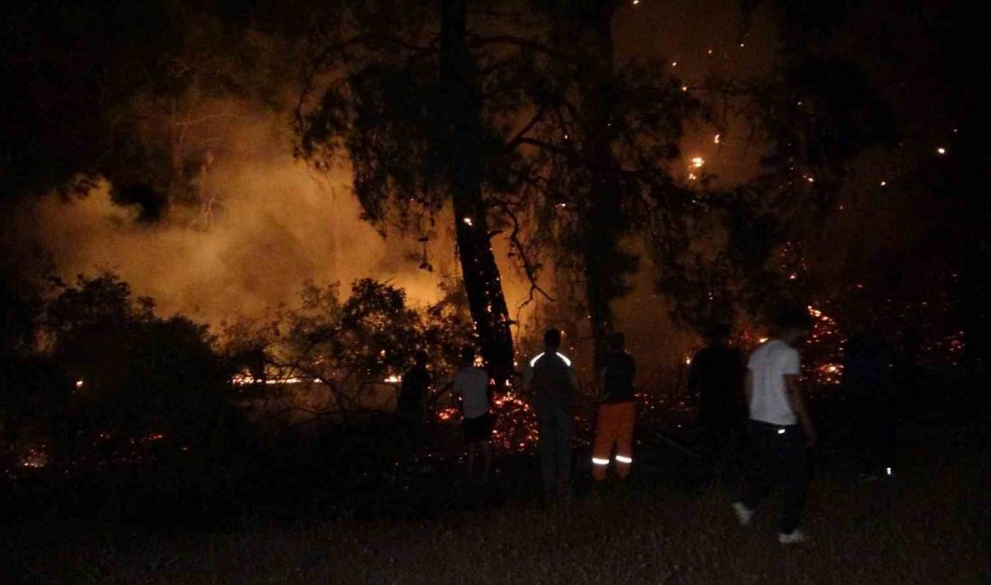 ANTALYA'NIN MANAVGAT İLÇESİNDE ORMANLIK ALANDA AKŞAM SAATLERİNDE ÇIKAN YANGIN, İTFAİYE,