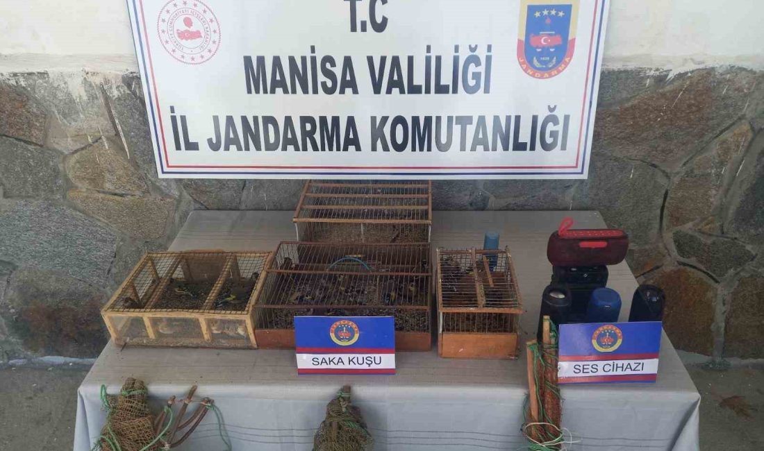 MANİSA'NIN KIRKAĞAÇ İLÇESİNDE TUZAK KURARAK SAKA KUŞU AVLAYAN 4 KİŞİ