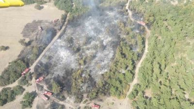 MANİSA'NIN KIRKAĞAÇ İLÇESİNDE TARIM ALANINDAN ÇIKAN YANGININ ORMANA SIÇRAMASI SONRASI