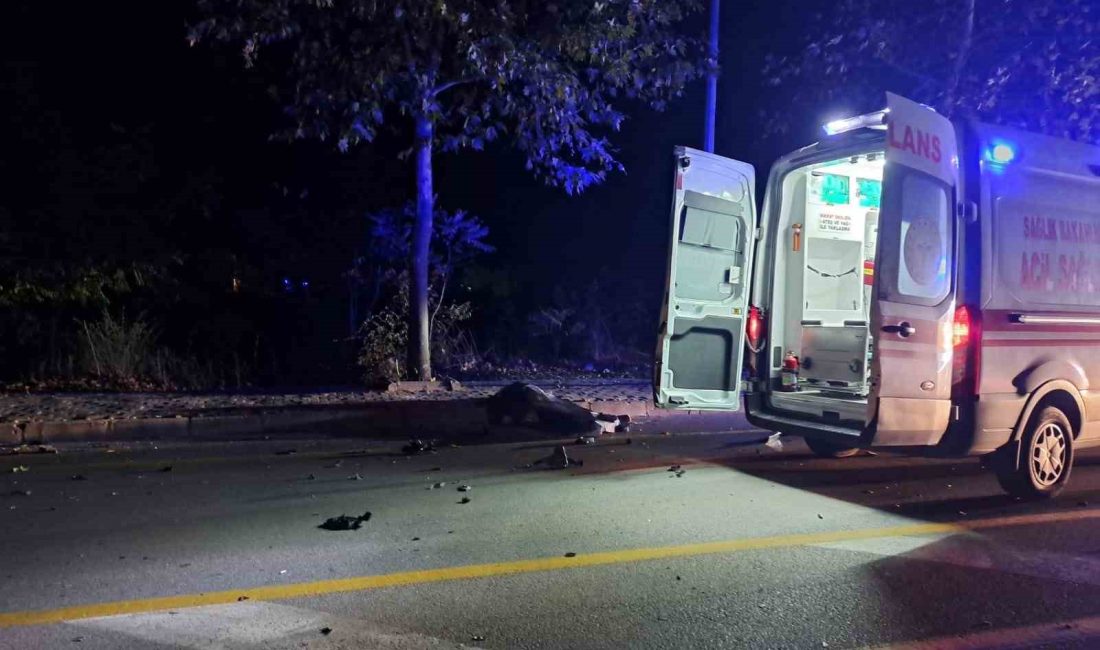 MUĞLA'NIN MENTEŞE İLÇESİNDE İDDİAYA GÖRE ALKOLLÜ SÜRÜCÜNÜN KULLANDIĞI OTOMOBİL İLE