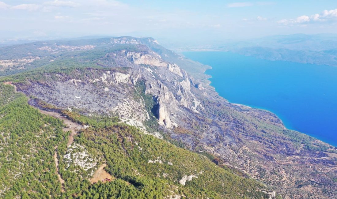 MUĞLA'NIN MENTEŞE ÇIKAN ORMAN YANGINI, EKİPLERİN YOĞUN MÜCADELESİYLE 4'ÜNCÜ GÜNÜNDE