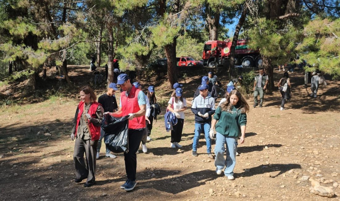 MERSİN'DE, GENÇLERİN VE GÖNÜLLÜLERİN KATILIMIYLA ORMAN TEMİZLİĞİ YAPILDI. 'ORMANLAR İÇİN