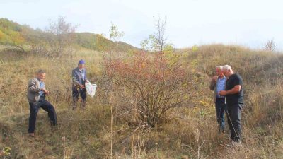SİVAS’TA KIŞ AYLARININ VAZGEÇİLMEZLERİNDEN BİRİ OLAN KUŞBURNU MEYVESİ, HEM LEZZETİ