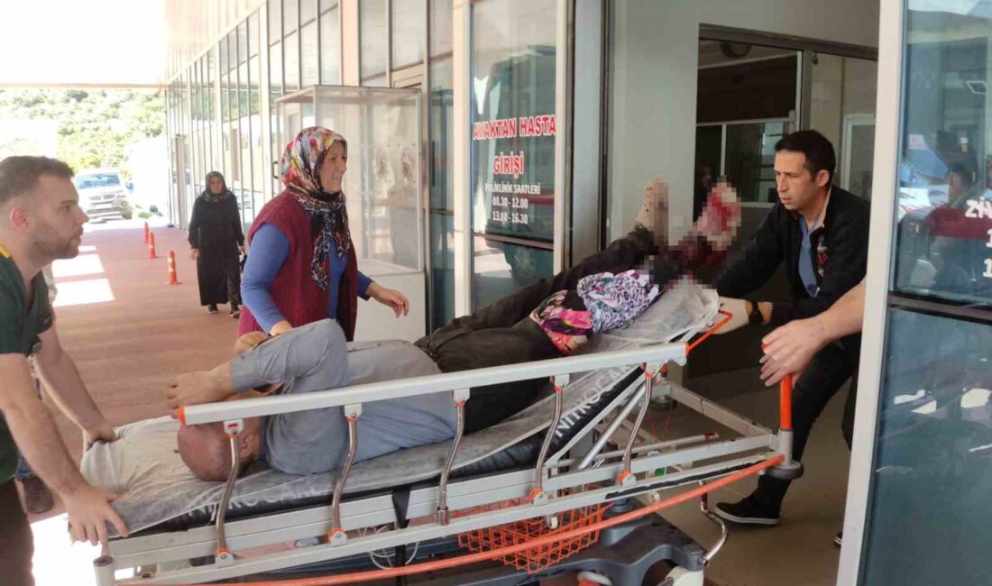 BURSA’NIN ORHANGAZİ İLÇESİNDE EVİNİN BAHÇESİNDE MOTORLU TESTERE İLE ODUN KESMEYE